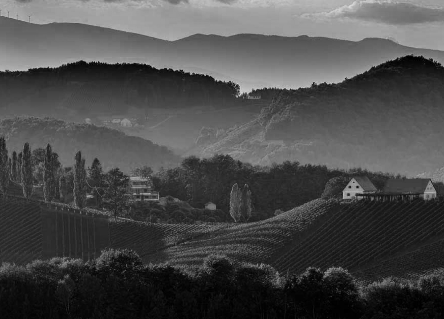 IN PIEMONTE,<br>TRA MONFERRATO E LANGA