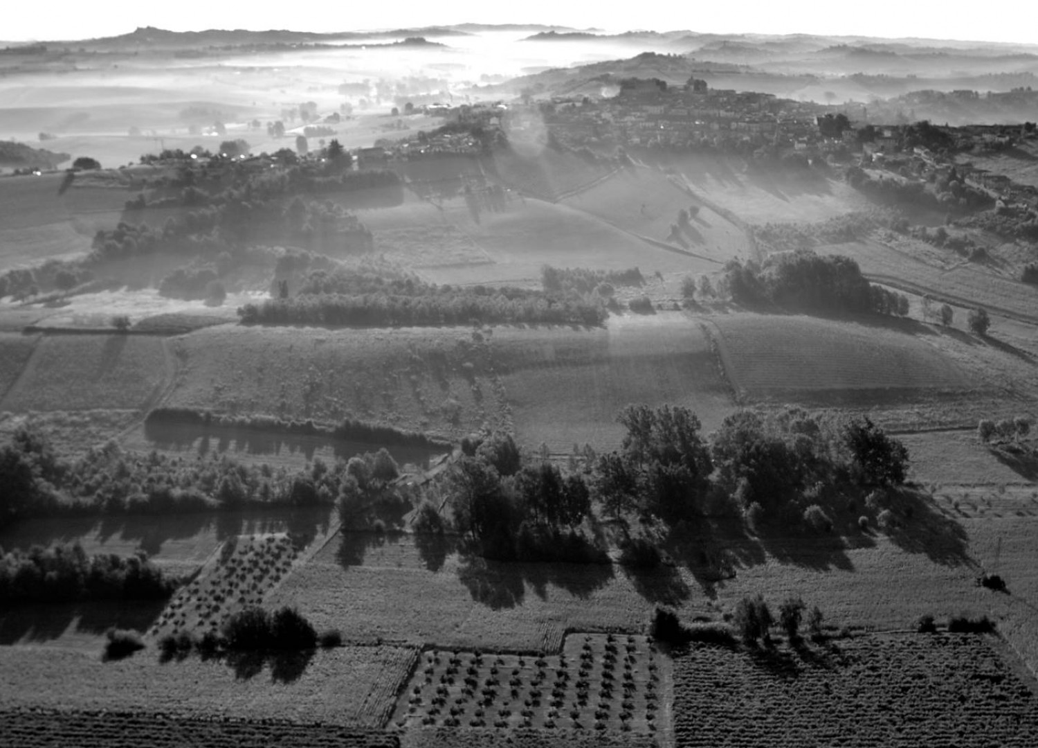 DA GENERAZIONI PROTAGONISTI <br>NEL MONDO VITIVINICOLO  